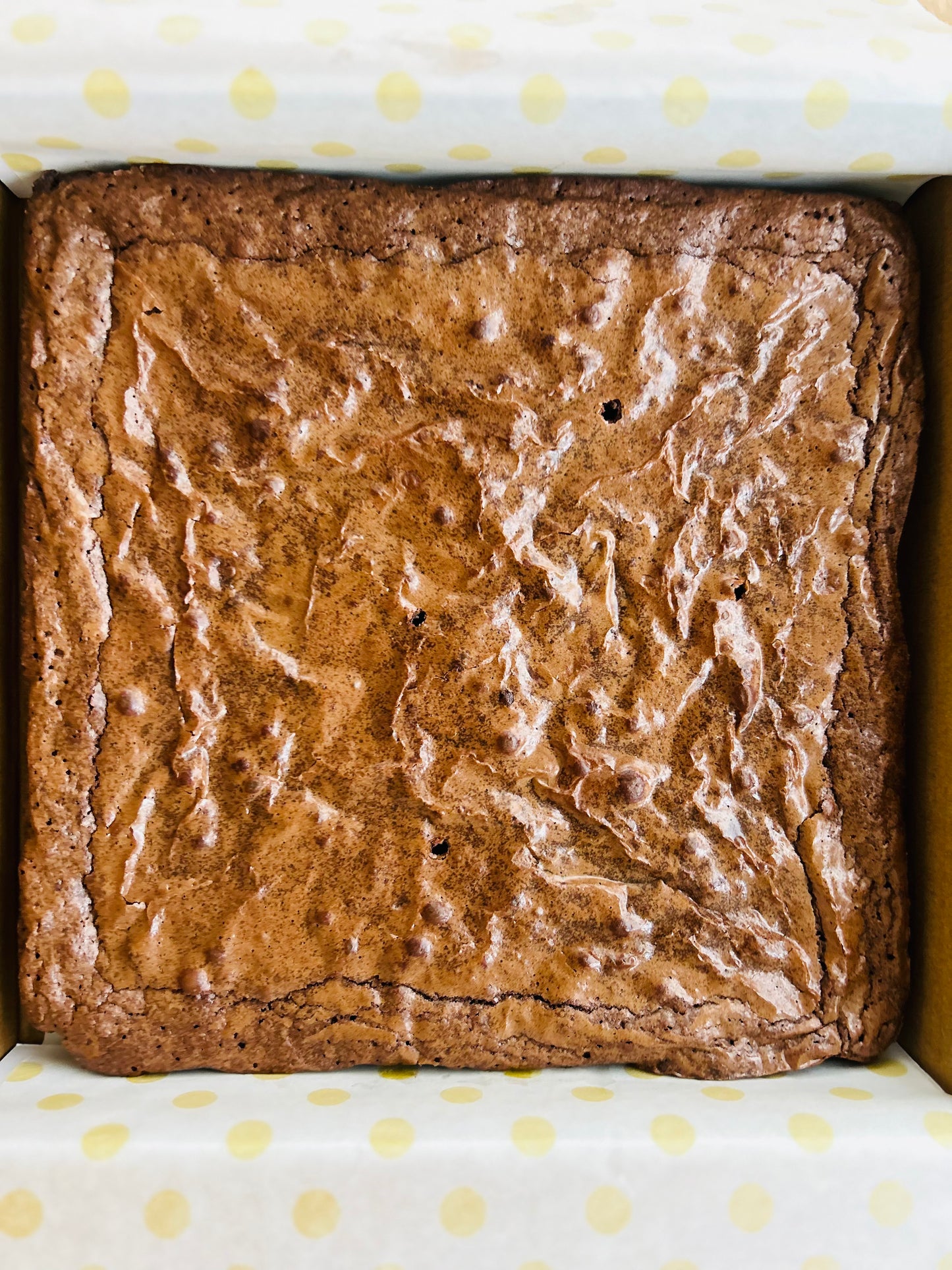 Cafe Brownie Slab - Original 9x9' (2lbs)